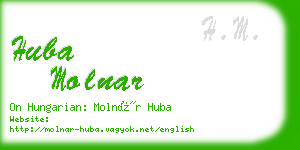 huba molnar business card